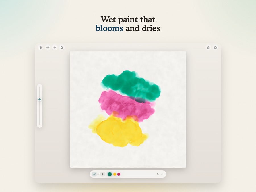 Bloomwash screenshot 1