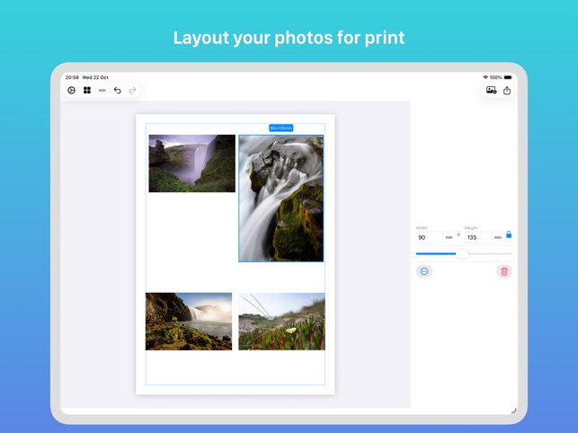 Print Layout Designer screenshot